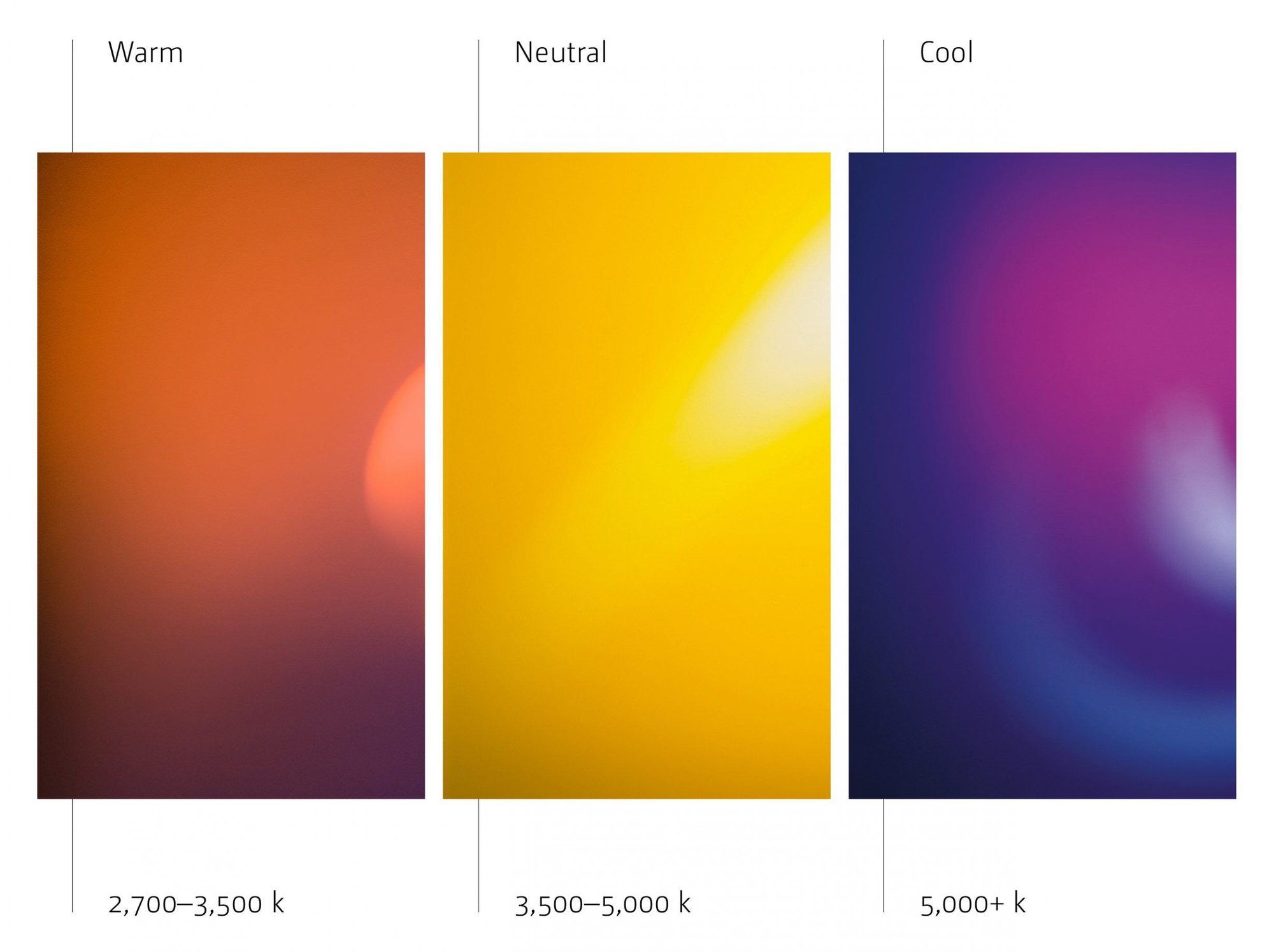zg_colour-bright-2460x1840